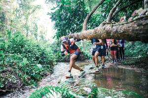 BIB: 
                            <button type="button" onclick="openModal(25463170)" class="btn btn-primary btn-sm float-right btn-popup" data-toggle="modal" data-target=".modal-high-quality">
                        <i class="fas fa-shopping-cart"></i> Add to Cart
                    </button>
                                            <button type="button" onclick="isThisMe(25463170, true)" class="btn btn-success btn-sm float-right btn-popup btn-isme hidden" data-toggle="tooltip" data-placement="bottom" title="นี่คือรูปของคุณใช่ไหม คลิกที่นี่เพื่อเอาเข้าอัลบั้ม">
                        <i class="fas fa-plus"></i> Add to album
                    </button>
                    <button type="button" onclick="isThisMe(25463170, false)" class="btn btn-warning btn-sm float-right btn-popup btn-isnotme hidden">
                        <i class="fas fa-ban"></i> Remove from album
                    </button>